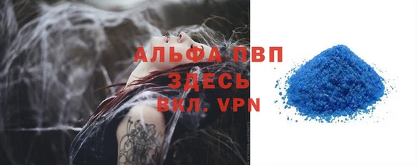 индика Новокубанск