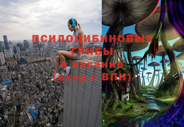 альфа пвп Нефтекумск