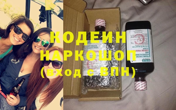 индика Новокубанск