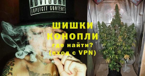 дурь Новодвинск