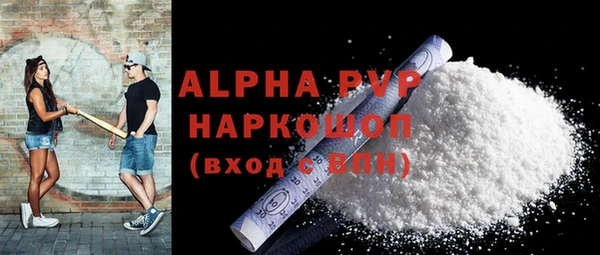 индика Новокубанск