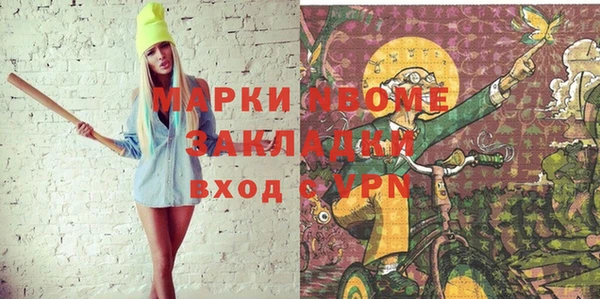индика Новокубанск