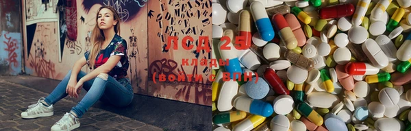 индика Новокубанск