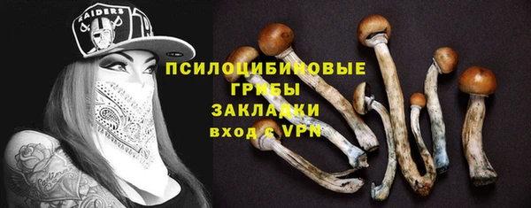 индика Новокубанск