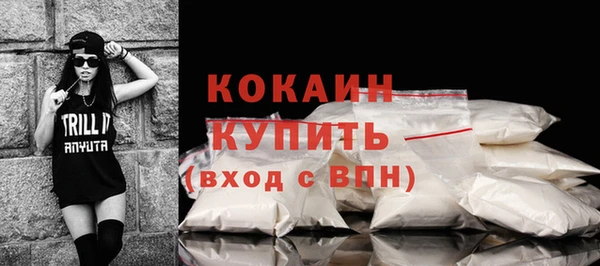индика Новокубанск