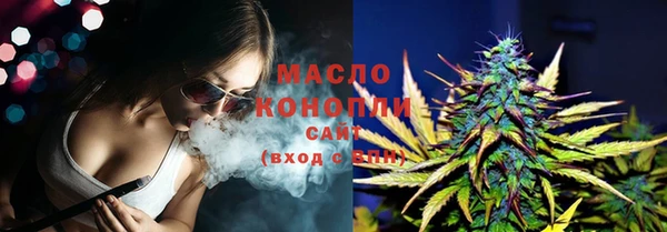 дурь Новодвинск