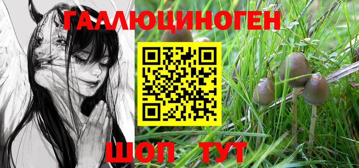 Галлюциногенные грибы Cubensis  Вход с VPN  Кувандык 